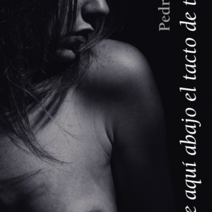 Desde aqui abajo el tacto de tu piel